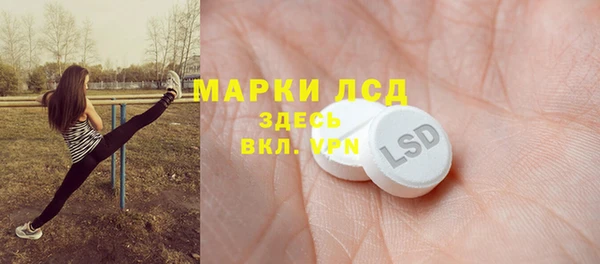 индика Армянск