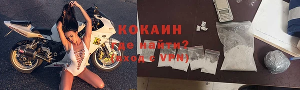 индика Армянск