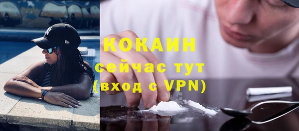 индика Армянск
