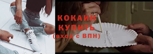 индика Армянск