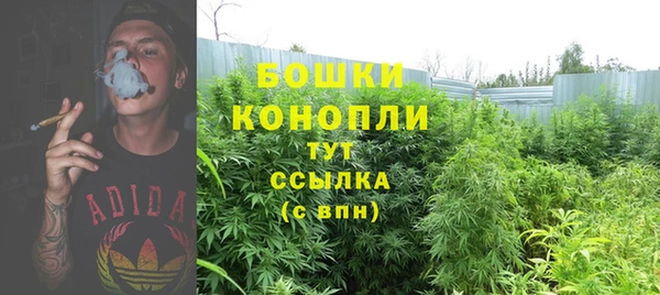 ALPHA-PVP Аркадак