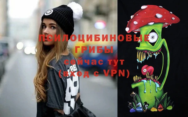 индика Армянск